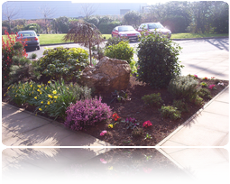 Exterior Garden and Office Planting Nottingham and Derby