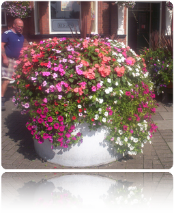 Exterior Garden and Office Planting Nottingham and Derby